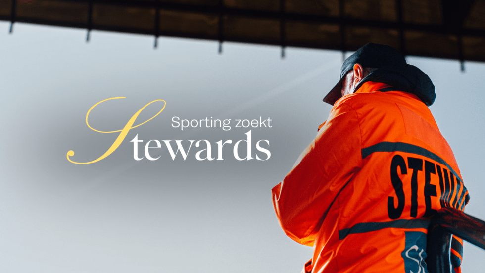 Steward Web 980x551